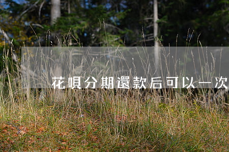 花唄分期還款后可以一次性還嗎-