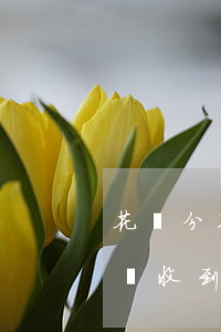 花唄分期還款后逾期(花唄分期還款逾期多久會收到催款電話)