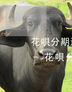 花唄分期還款是什么時(shí)候開始還-花唄分期還款是什么時(shí)候開始還款