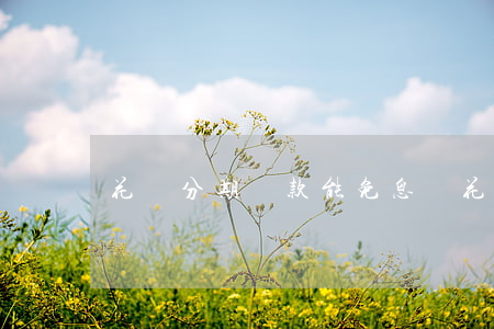 花唄分期還款能免息嗎(花唄分期還款能免息嗎)