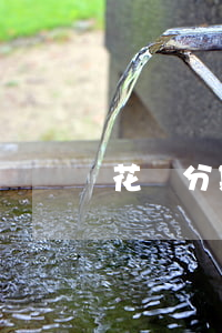 花唄分期還還是最低還款比較好-