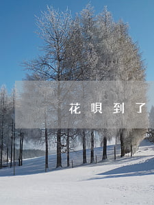 花唄到了還款日還可以推遲還嗎-