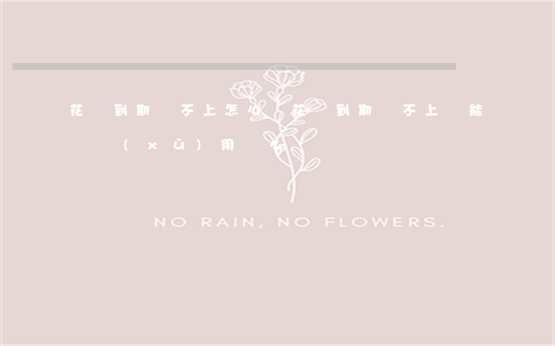 花唄到期還不上怎么辦 花唄到期還不上還能繼續(xù)用錢么