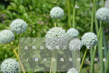花唄加借唄欠了5萬(wàn)會(huì)被起訴嗎(借唄花唄逾期五萬(wàn)多,會(huì)上門(mén)起訴嗎?)