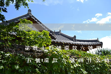 花唄十五號還款六號用什么時候還-花唄十五號還款六號用什么時候還款
