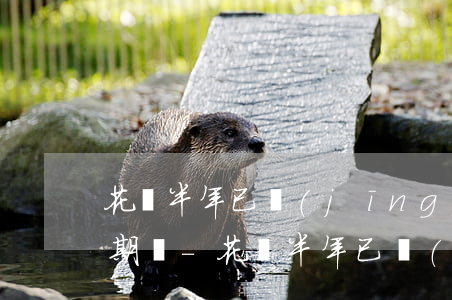 花唄半年已經(jīng)逾期可以申請延期嗎-花唄半年已經(jīng)逾期可以申請延期嗎怎么辦