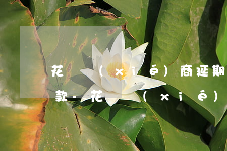 花唄協(xié)商延期后1年最后怎么還款-花唄協(xié)商延期后1年最后怎么還款呢