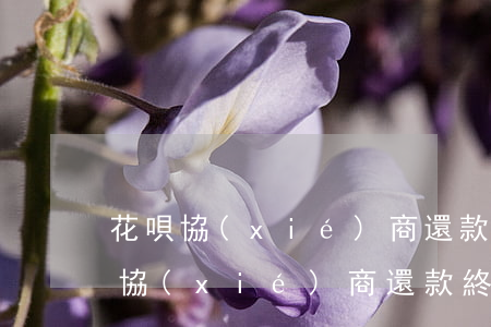 花唄協(xié)商還款的流程(支付寶花唄協(xié)商還款終于成功了)
