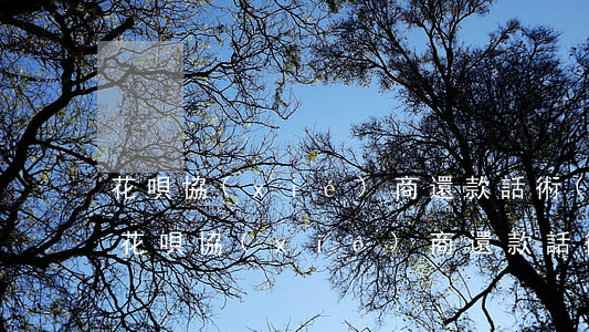 花唄協(xié)商還款話術(shù)-花唄協(xié)商還款話術(shù)描述