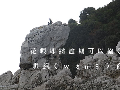 花唄即將逾期可以協(xié)商嗎(花唄借唄網(wǎng)商貸逾期會(huì)被聯(lián)合訴訟嗎)