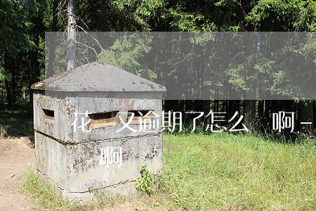 花唄又逾期了怎么辦啊-花唄又逾期了怎么辦啊