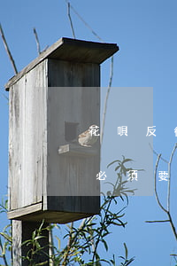花唄反復(fù)的分期算逾期嗎(花唄逾期必須要還清所有欠款后才可以分期嗎)