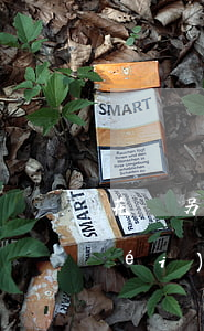 花唄另一個(gè)賬號(hào)沒(méi)還款會(huì)聯(lián)系主號(hào)-花唄沒(méi)還會(huì)從別的支付寶扣款嗎