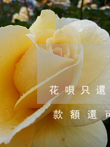 花唄只還最低還款逾期(花唄逾期還了最低還款額,還可以正常使用?)