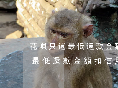 花唄只還最低還款金額扣信用卡-花唄只還最低還款金額扣信用卡的錢