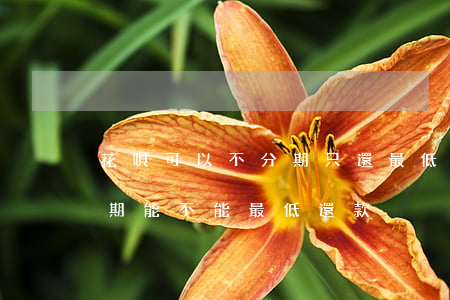 花唄可以不分期只還最低還款嗎-花唄不分期能不能最低還款
