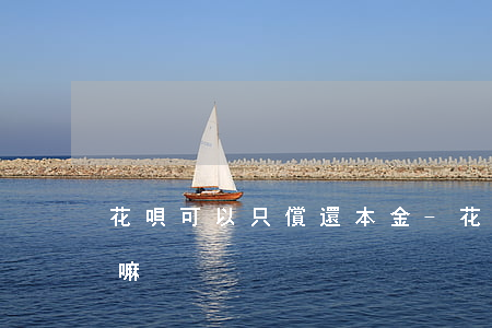 花唄可以只償還本金-花唄可以只償還本金嘛