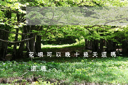 花唄可以晚十幾天還嗎-花唄可以晚10天還嗎