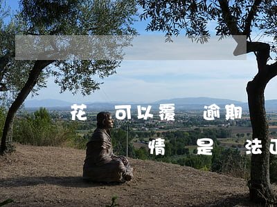 花唄可以覆蓋逾期記錄嗎(花唄有逾期還款記錄,這樣情況是無法正常使用花唄的)