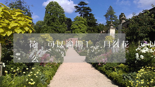 花唄可以逾期1個月么(花唄可以逾期1個月么嗎)