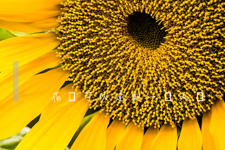花唄可以逾期一兩天嗎