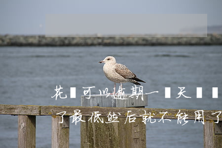 花唄可以逾期一兩天還嗎(花唄逾期兩天后還了最低然后就不能用了)