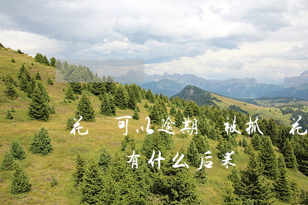 花唄可以逾期會被抓嗎(花唄逾期多久會被起訴會有什么后果)