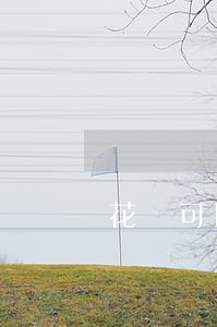花唄可以逾期(花唄可以延期幾天還款)