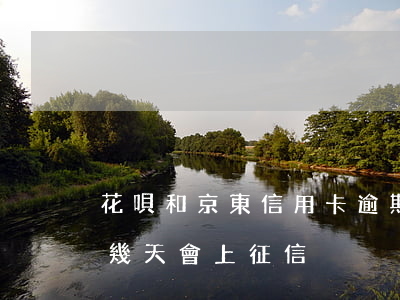 花唄和京東信用卡逾期后果(京東和花唄超期幾天會上征信)