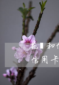 花唄和信用卡利息對(duì)比-花唄和信用卡利息對(duì)比