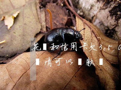 花唄和信用卡欠3500 花唄和信用卡沒有還清可以貸款嗎