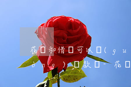 花唄和借唄可以關(guān)閉自動(dòng)還款嗎-花唄和借唄可以關(guān)閉自動(dòng)還款嗎安全嗎