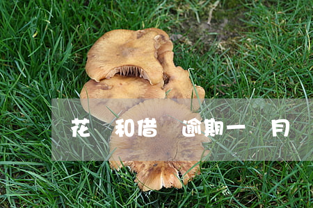 花唄和借唄逾期一個月還款多少-