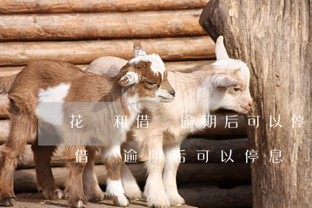 花唄和借唄逾期后可以停息掛賬嗎-花唄和借唄逾期后可以停息掛賬嗎