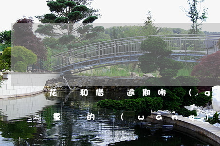 花唄和借唄逾期哪個(gè)嚴(yán)重(別的網(wǎng)貸逾期會(huì)影響支付寶借唄額度嗎)