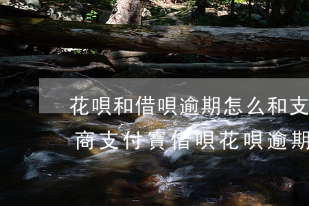 花唄和借唄逾期怎么和支付寶協(xié)商（支付寶借唄花唄逾期協(xié)商還款）