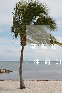花唄和借唄逾期會(huì)發(fā)函件通知嗎-