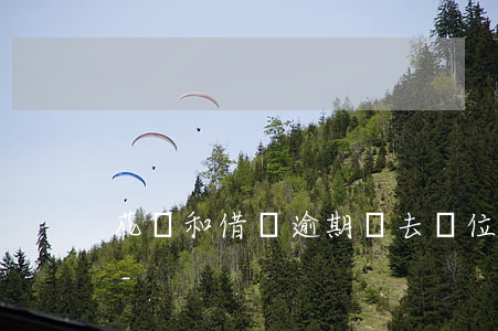花唄和借唄逾期會去單位核實(shí)么-