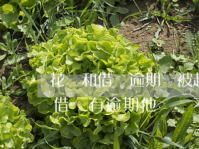 花唄和借唄逾期會被起訴嗎(支付寶里的花唄借唄有逾期,他們會不會起訴到法院)