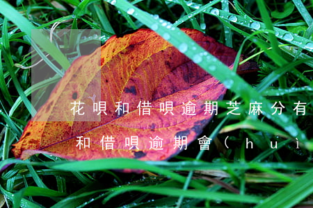 花唄和借唄逾期芝麻分有影響嗎-螞蟻花唄和借唄逾期會(huì)影響個(gè)人征信嗎