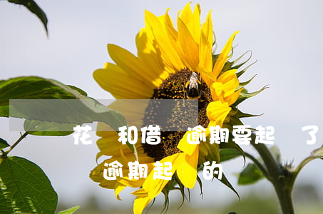 花唄和借唄逾期要起訴了 有被支付寶花唄借唄逾期起訴的嗎?