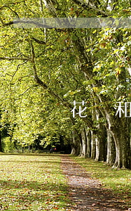 花唄和借唄逾期還完突然不讓用了