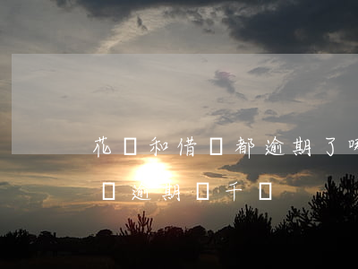 花唄和借唄都逾期了,哪個利息最高（花唄和借唄逾期幾千塊）