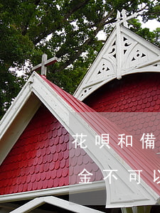 花唄和備用金全部逾期了(花唄逾期兩天備用金不可以再用了嗎)
