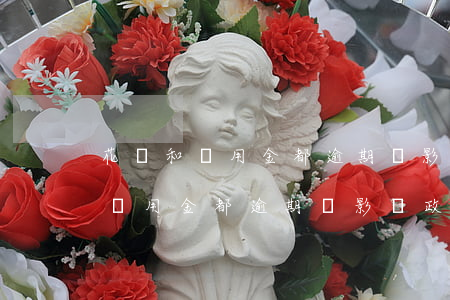 花唄和備用金都逾期會影響政審嗎-花唄和備用金都逾期會影響政審嗎知乎