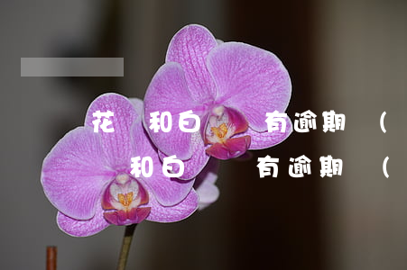 花唄和白條沒有逾期會(huì)怎么樣(花唄和白條沒有逾期會(huì)怎么樣)