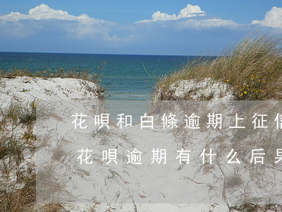 花唄和白條逾期上征信嗎(白條逾期上征信嗎?花唄逾期有什么后果)