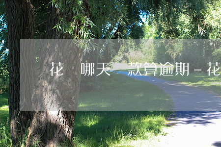 花唄哪天還款算逾期-花唄還款期是哪天