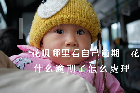花唄哪里看自己逾期沒(花唄顯示逾期不知道什么逾期了怎么處理)