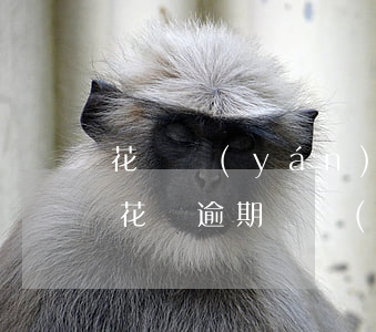 花唄嚴(yán)重逾期一個(gè)多月(花唄逾期兩個(gè)月會(huì)有什么后果?,有獎(jiǎng)問(wèn)答)